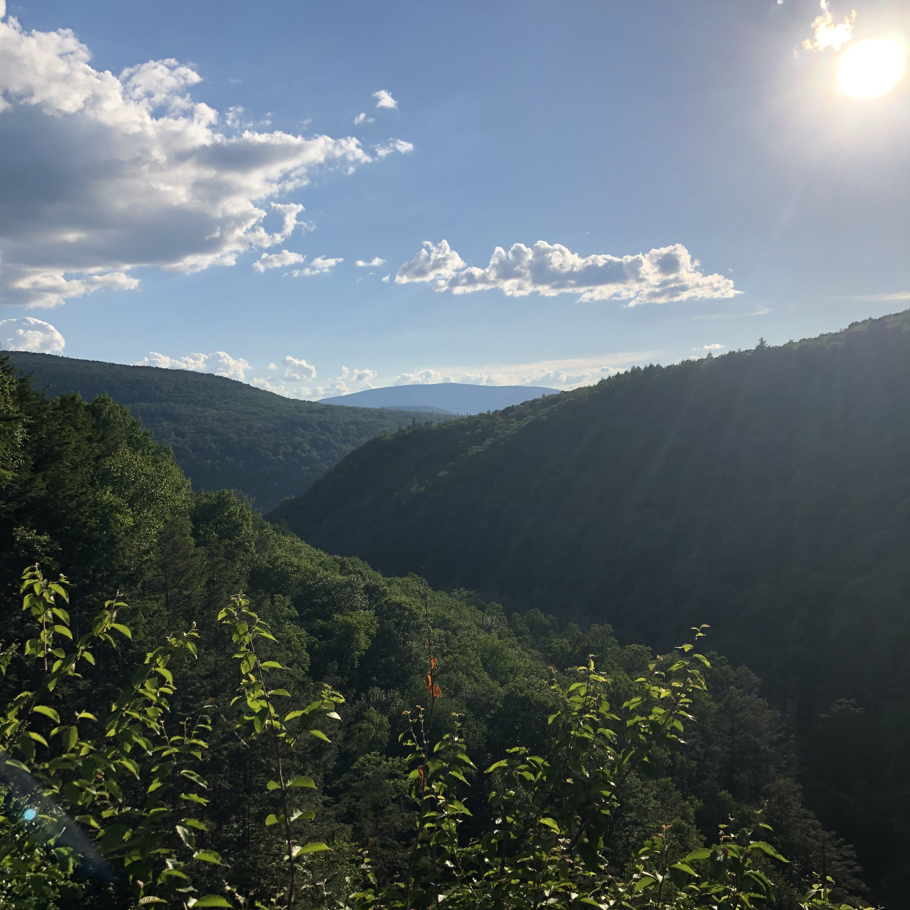 Nature 1